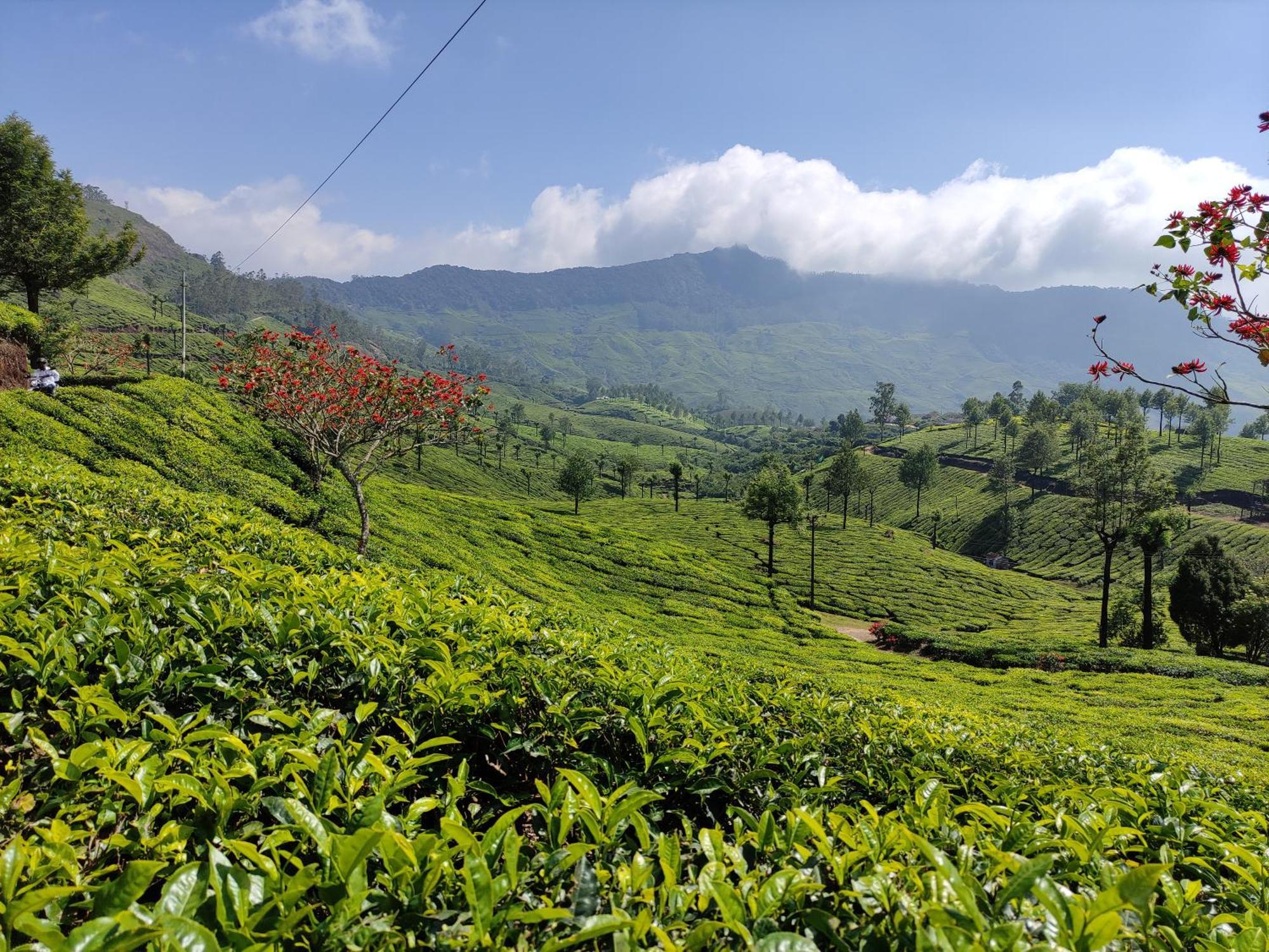 Munnar Village Homes Exterior photo